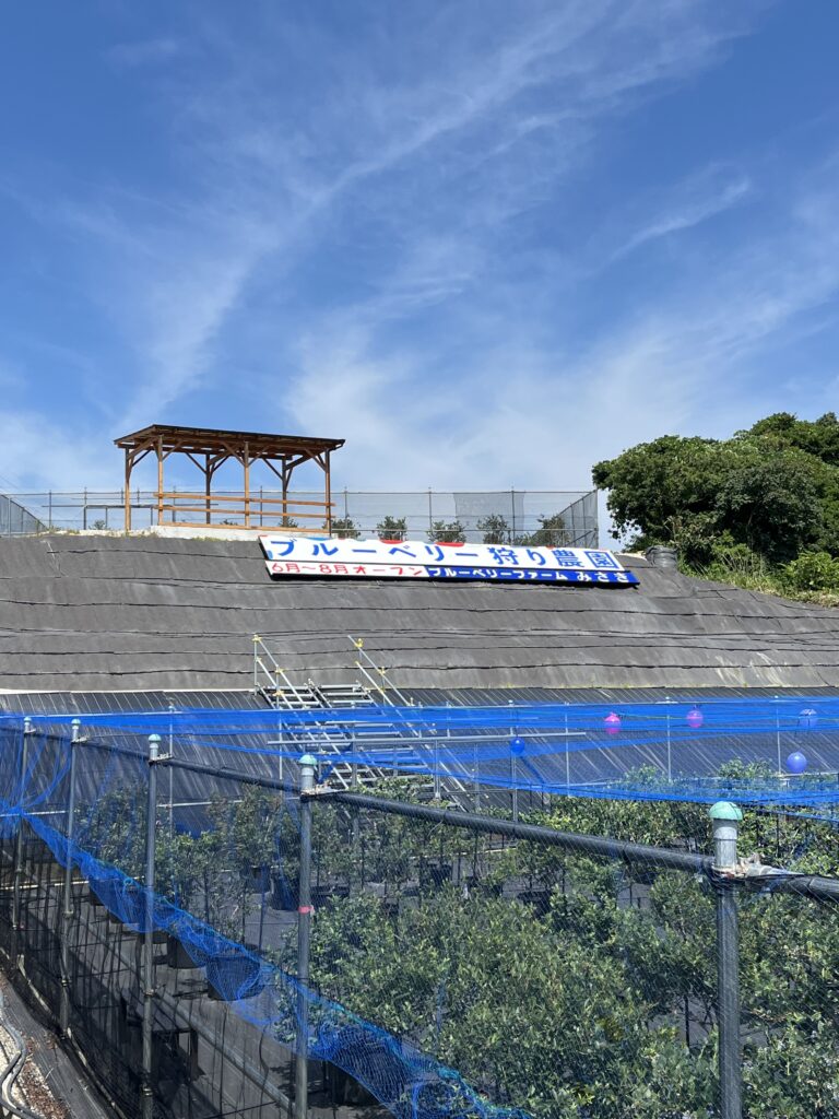 ブルーベリー狩り・ブルーベリーファームみさき・大阪・岬町・看板