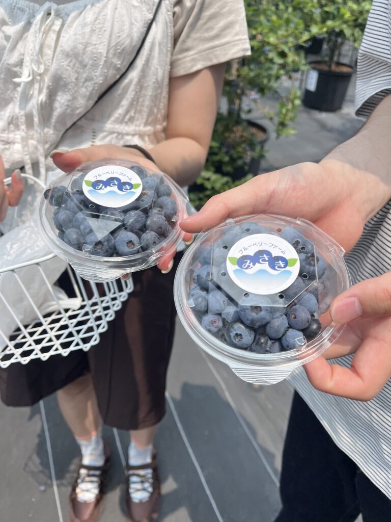 ブルーベリー狩り・ブルーベリーファームみさき・大阪・岬町・お持ち帰りパック