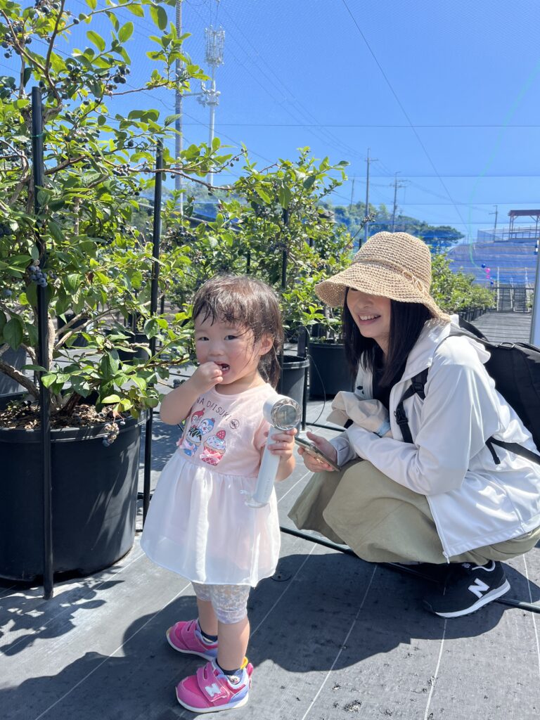 ブルーベリー狩り・ブルーベリーファームみさき・大阪・岬町・かわいい収穫