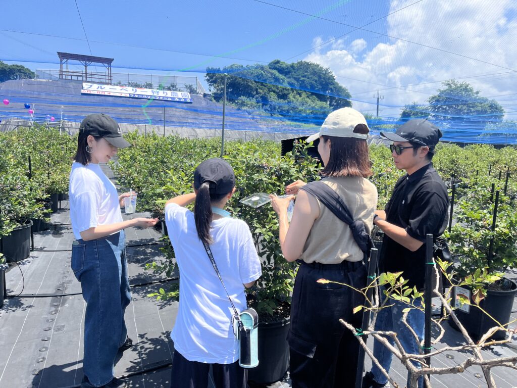 ブルーベリー狩り・ブルーベリーファームみさき・大阪・岬町・家族で収穫体験
