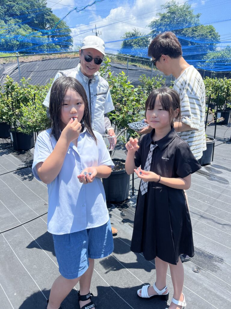 ブルーベリー狩り・ブルーベリーファームみさき・大阪・岬町・ブルーベリーに集中