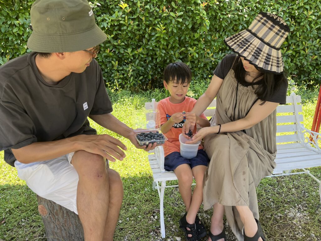 ブルーベリー狩り・ブルーベリーファームみさき・大阪・岬町・氷カップで冷えたブルーベリー