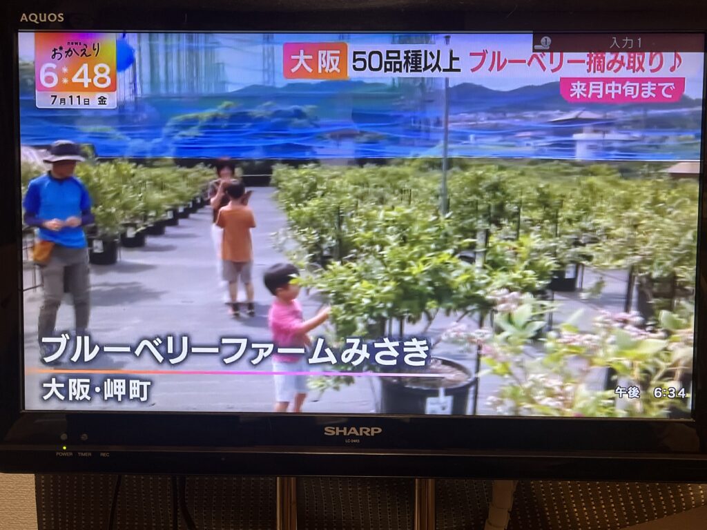 ブルーベリー狩り・ブルーベリーファームみさき・大阪・岬町・テレビ放送