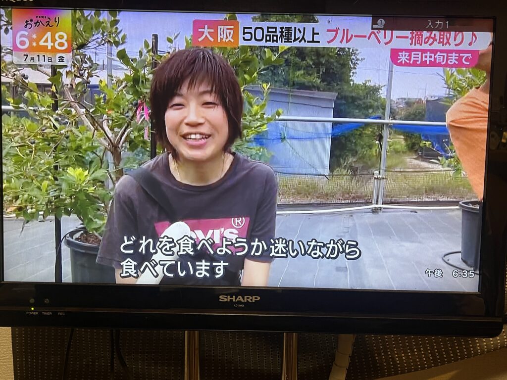 ブルーベリー狩り・ブルーベリーファームみさき・大阪・岬町・テレビ放送
