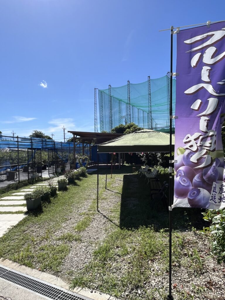 ブルーベリー狩り・ブルーベリーファームみさき・大阪・岬町・第2サイトエントランス