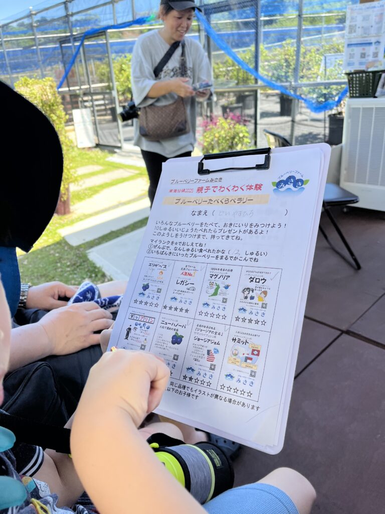 ブルーベリー狩り・ブルーベリーファームみさき・大阪・岬町・親子でわくわく体験