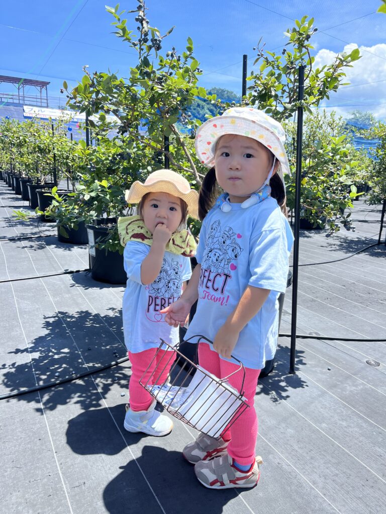ブルーベリー狩り・ブルーベリーファームみさき・大阪・岬町・かわいい姉妹