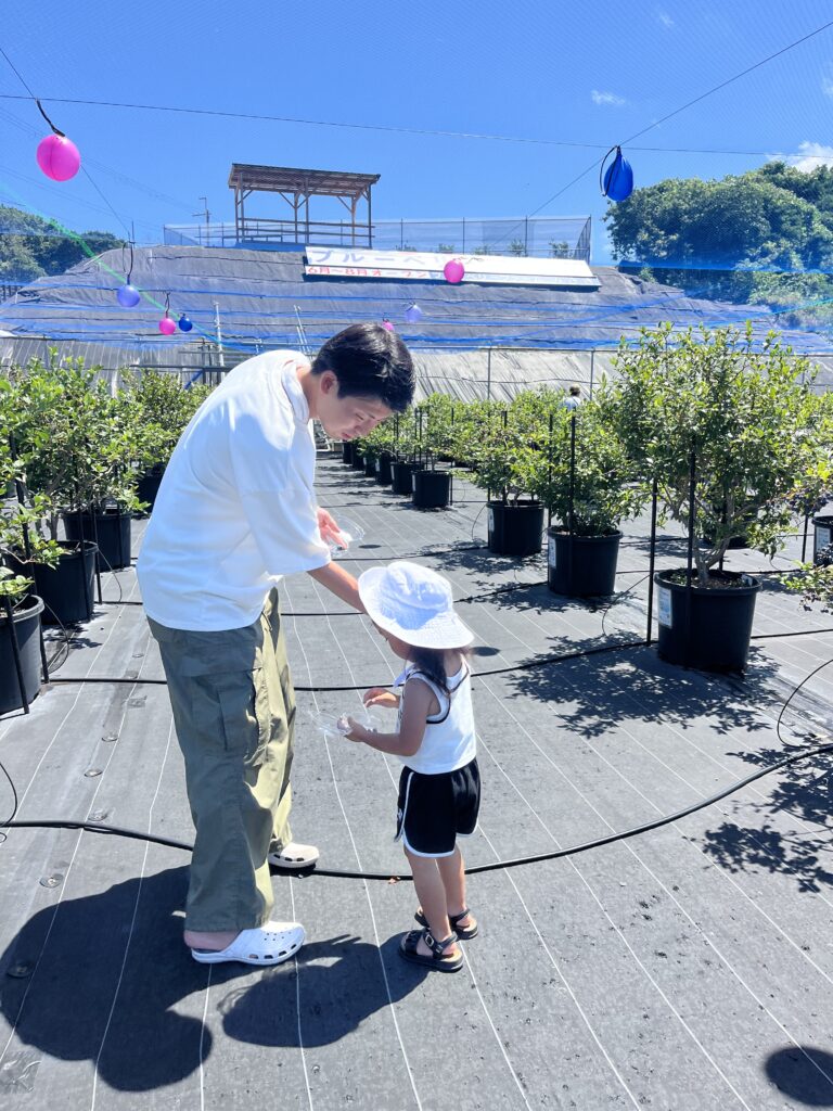 ブルーベリー狩り・ブルーベリーファームみさき・大阪・岬町・親子でブルーベリー狩り