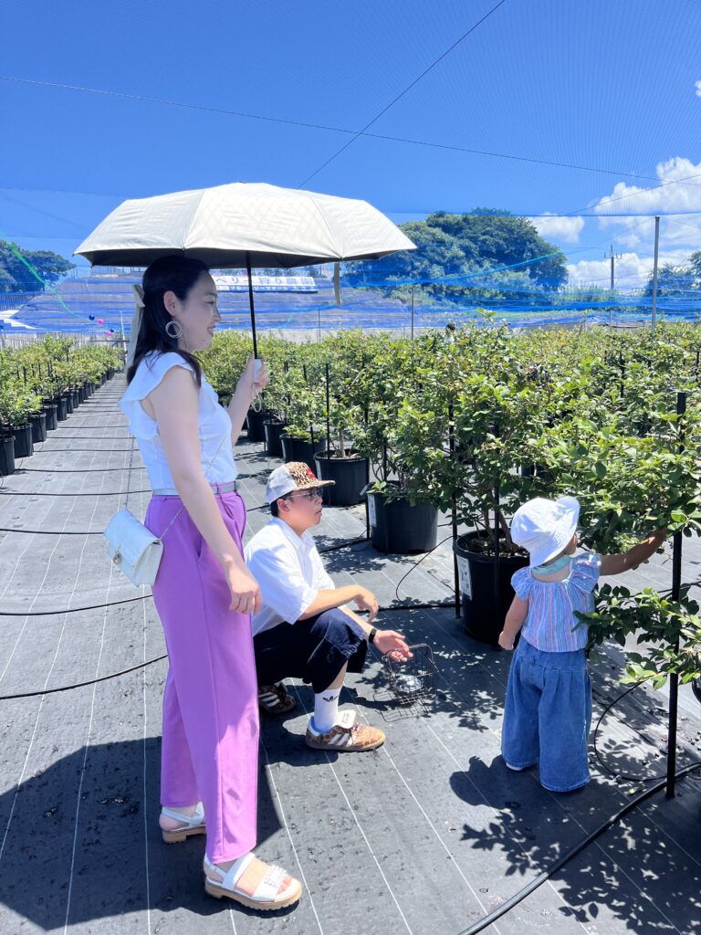 ブルーベリー狩り・ブルーベリーファームみさき・大阪・岬町・リピーターのお客様