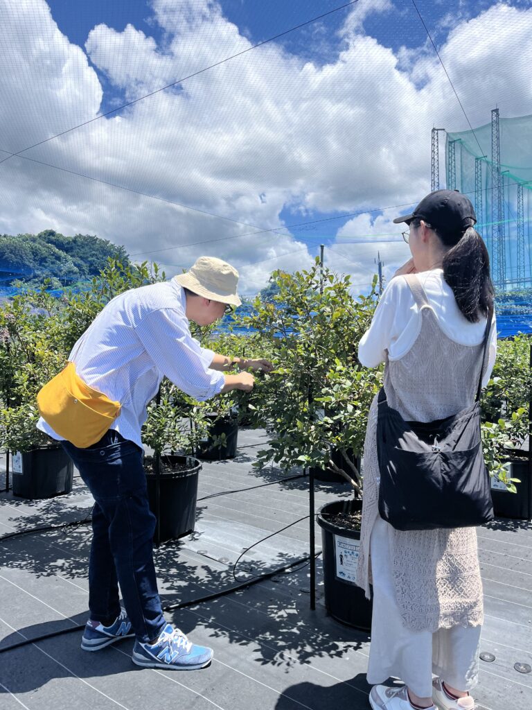 ブルーベリー狩り・ブルーベリーファームみさき・大阪・岬町・夏の雲