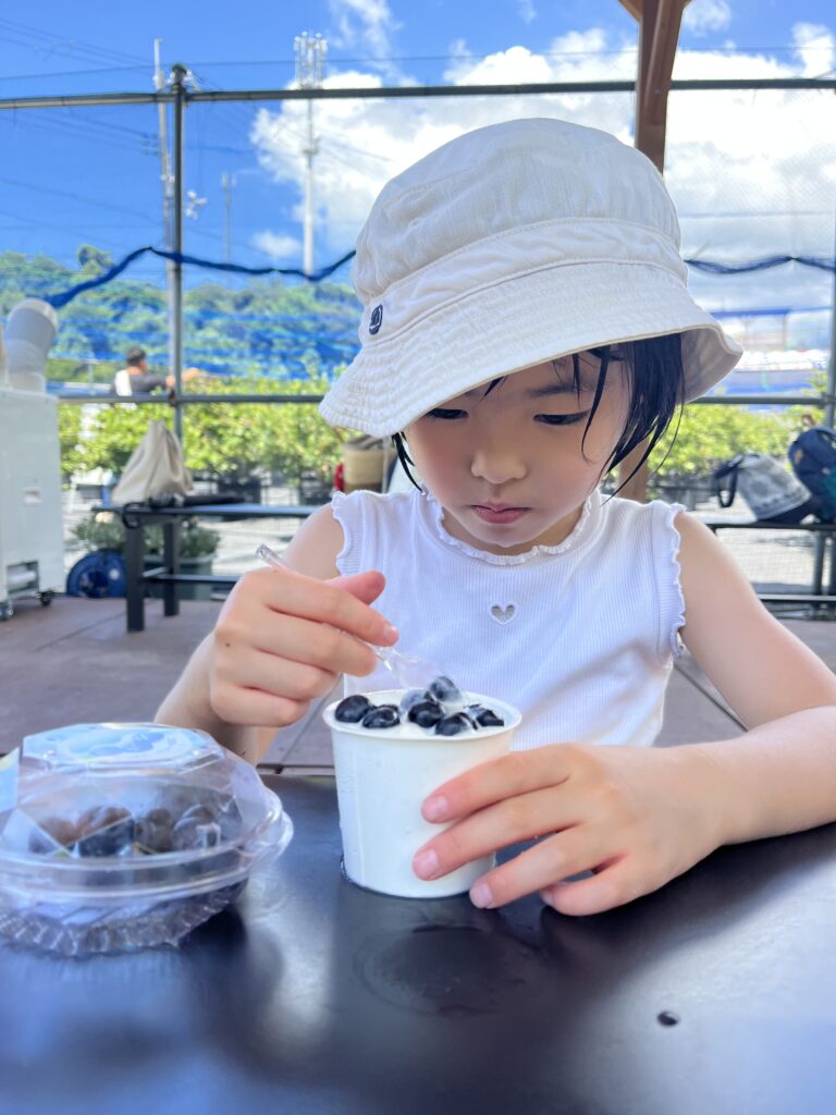 ブルーベリー狩り・ブルーベリーファームみさき・大阪・岬町・ミルクジェラート