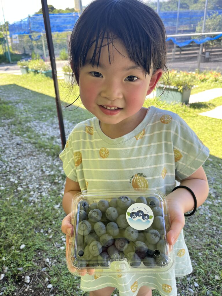 ブルーベリー狩り・ブルーベリーファームみさき・大阪・岬町・ブルーベリーのおみやげ