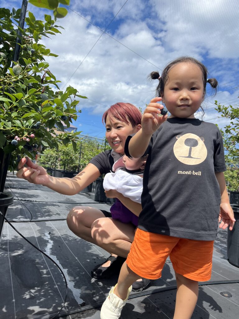 岬町で人気のブルーベリー狩りを楽しむ親子連れ