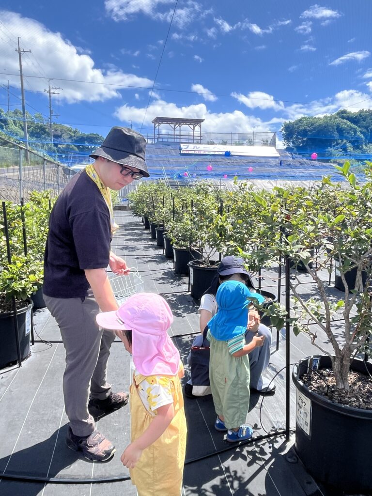 関西の家族連れに人気のブルーベリー農園での休日