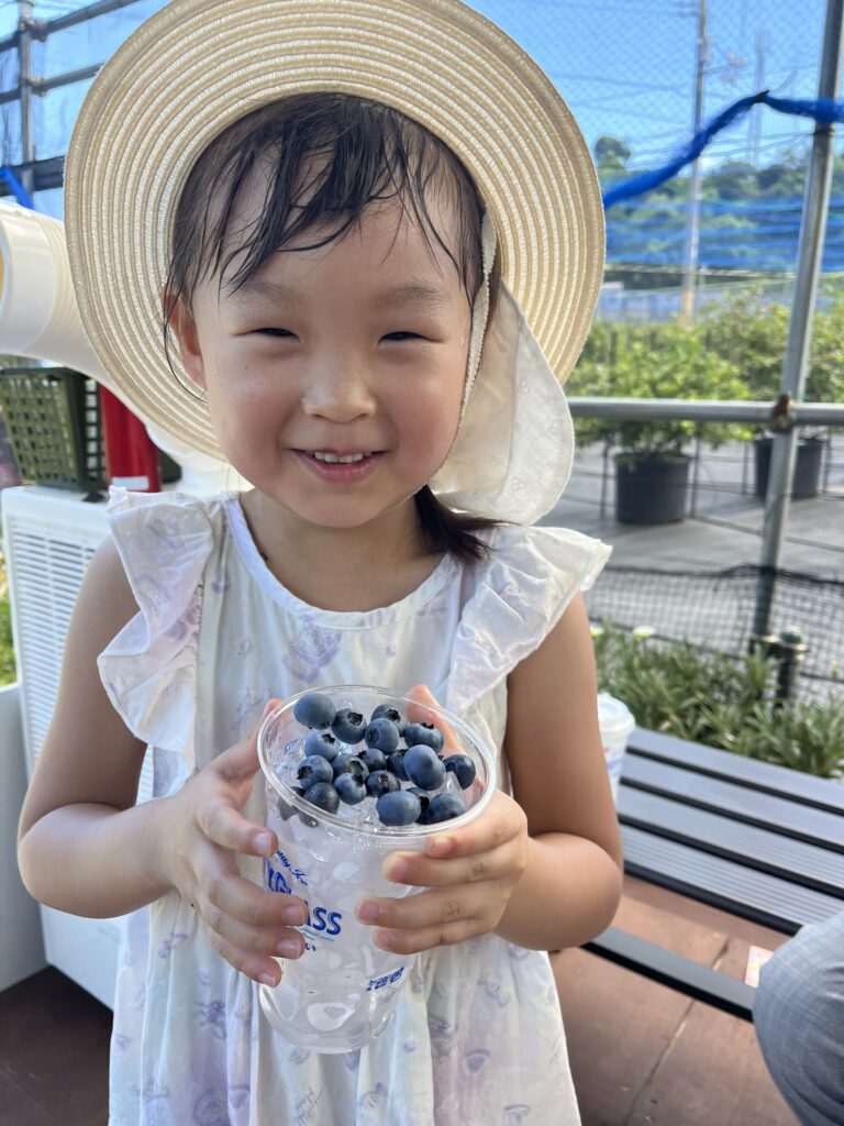 関西の農園で育ったジューシーなブルーベリー