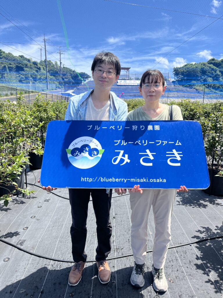 完熟したブルーベリーの収穫体験(大阪・岬町)