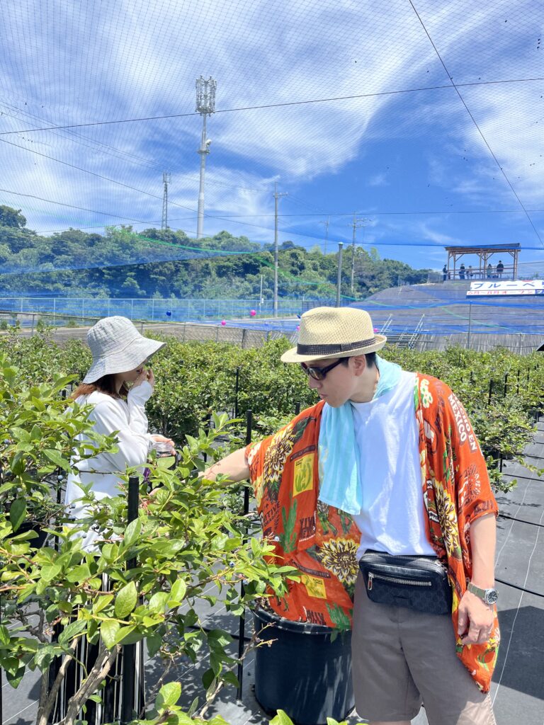 関西の家族連れに人気のブルーベリー農園での休日