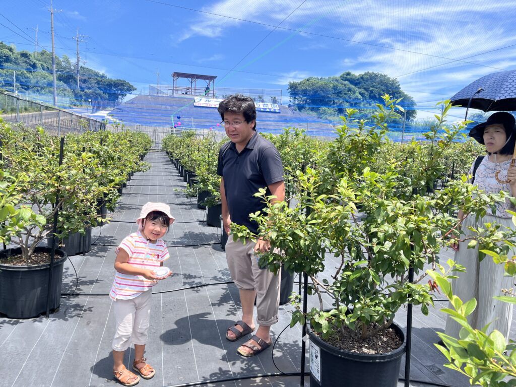 関西で子どもが喜ぶ体験型ブルーベリー狩り
