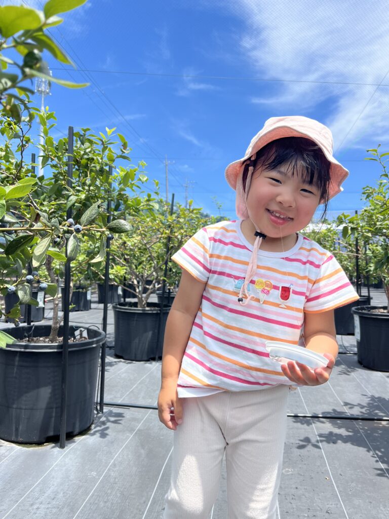 関西で子どもが喜ぶ体験型ブルーベリー狩り
