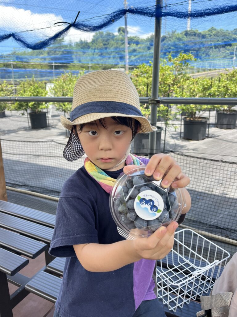 ブルーベリーのお持ち帰りパックには完熟のブルーベリーがぎっしり