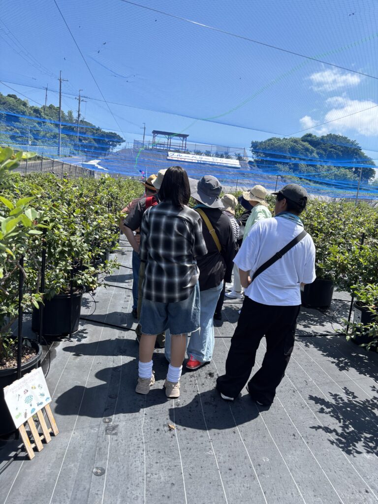 ブルーベリー狩りの説明