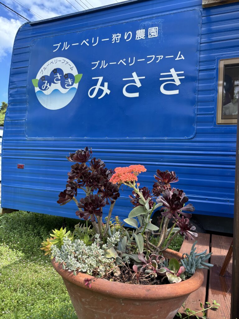 ブルーベリーファームみさきには緑がたくさんあります