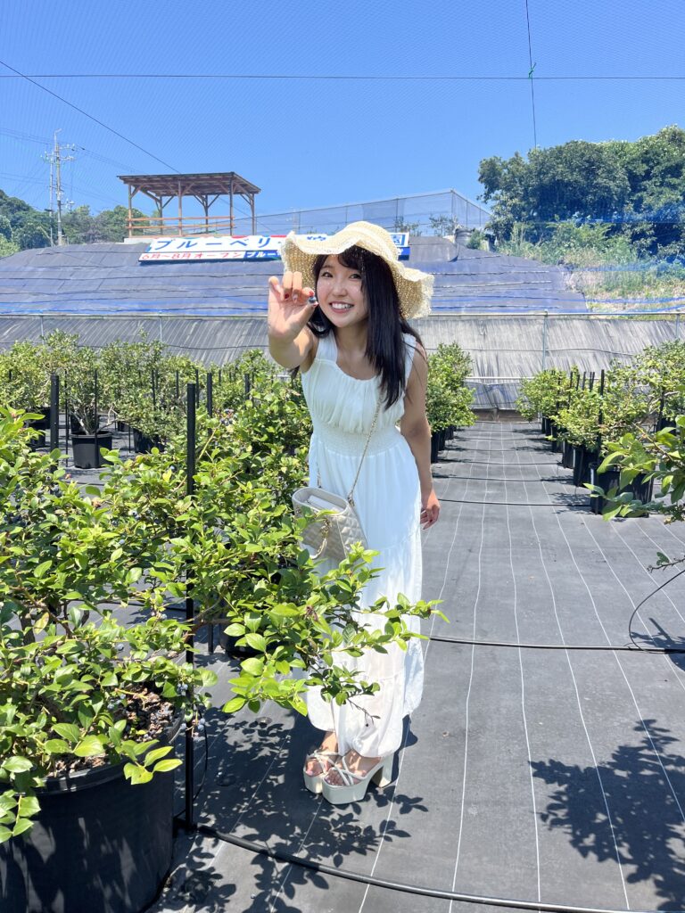 関西の農園で育ったジューシーなブルーベリー