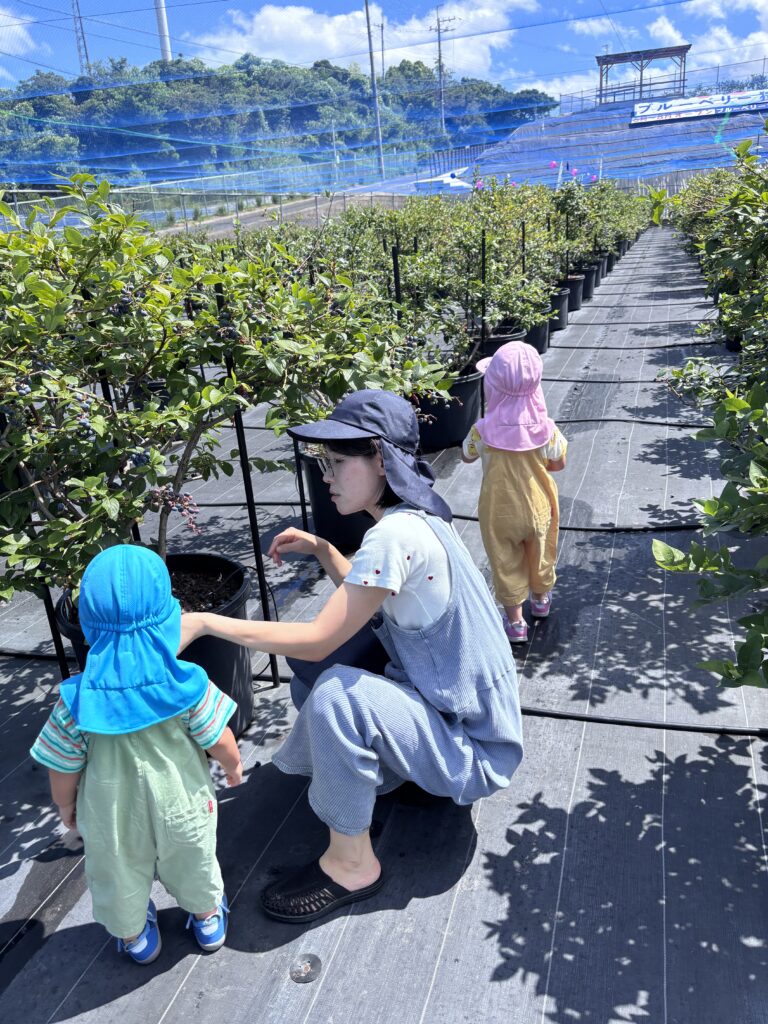 関西で子どもが喜ぶ体験型ブルーベリー狩り