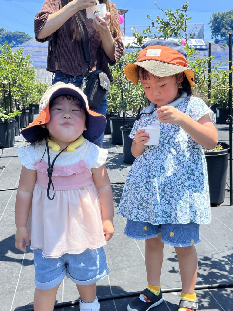 ブルーベリー農園で食べる冷たいミルクジェラート