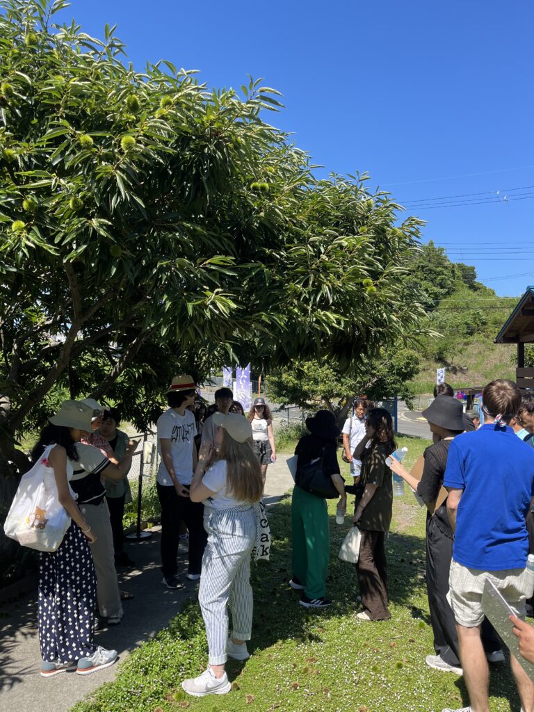 留学生がブルーベリーファームみさきにやってきた