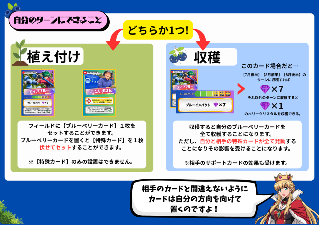 ブルーベリーファームみさきが提供するブルーベリーのトレーディングカード