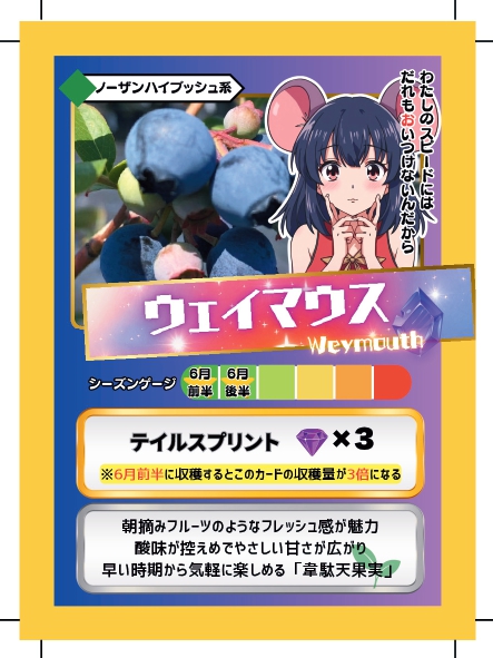 ブルーベリーバトルカード BBB ウェイマウス ブルーベリーファームみさき