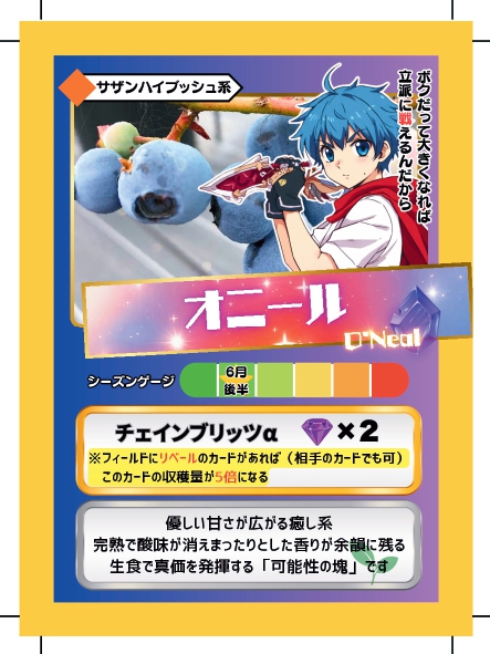 ブルーベリーバトルカード BBB オニール ブルーベリーファームみさき