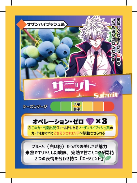 ブルーベリーバトルカード BBB サミット ブルーベリーファームみさき