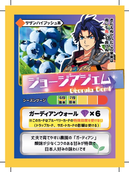 ブルーベリーバトルカード BBB ジョージアジェム ブルーベリーファームみさき