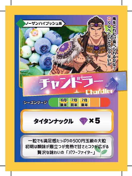 ブルーベリーバトルカード BBB チャンドラー ブルーベリーファームみさき