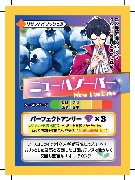ブルーベリーバトルカード BBB ニューハノーバー ブルーベリーファームみさき