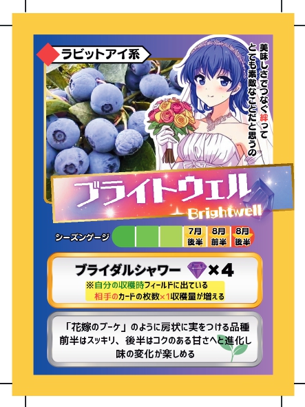 ブルーベリーバトルカード BBB ブライトウェル ブルーベリーファームみさき
