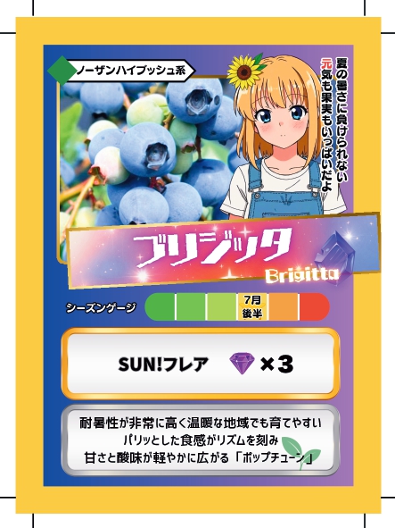 ブルーベリーバトルカード BBB ブリジッタ ブルーベリーファームみさき