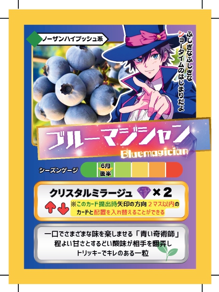 ブルーベリーバトルカード BBB ブルーマジシャン ブルーベリーファームみさき