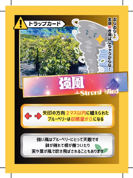 ブルーベリーバトルカード BBB 強風 ブルーベリーファームみさき