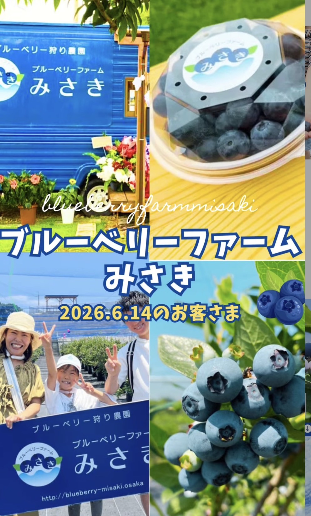 ブログ – 大阪・泉州エリア最大のブルーベリー狩り農園 | ブルーベリー